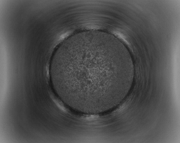 X0000087380398200704201249