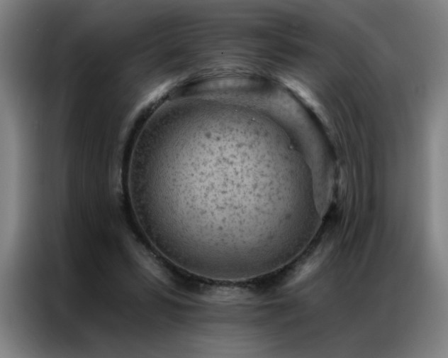 X0000087380399200704201249
