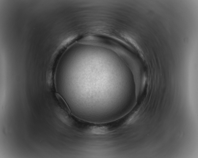 X0000087380403200704201249