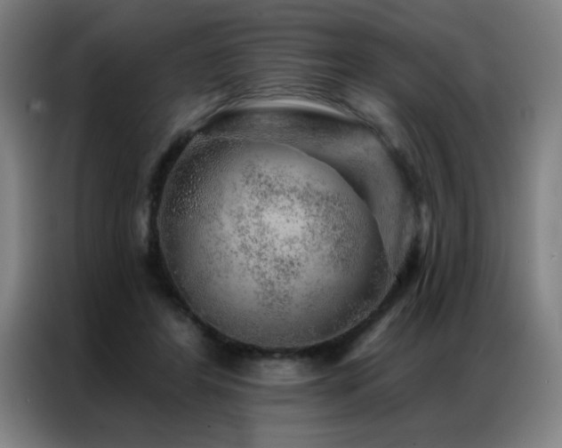 X0000087380404200704201249