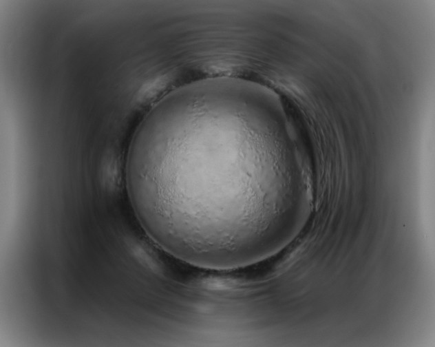 X0000087380408200704201249