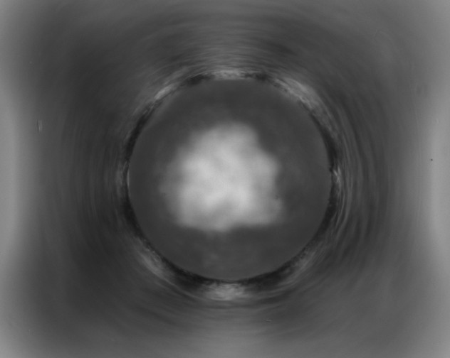 X0000087380409200704201249