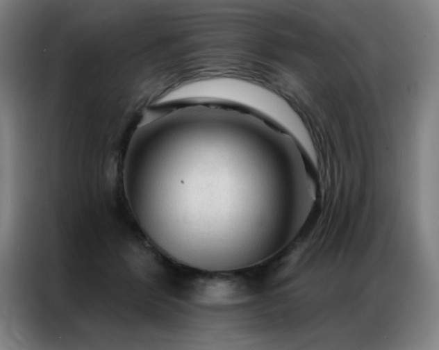 X0000087380412200704201249