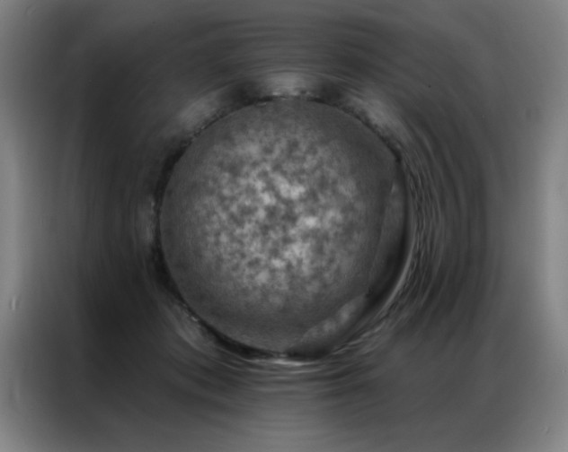 X0000087380413200704201249