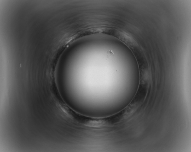 X0000087380414200704201249
