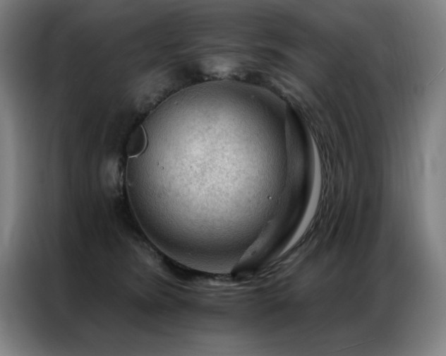 X0000087380420200704201249