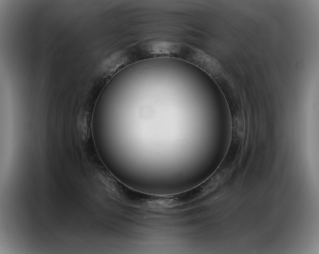 X0000087380422200704201249