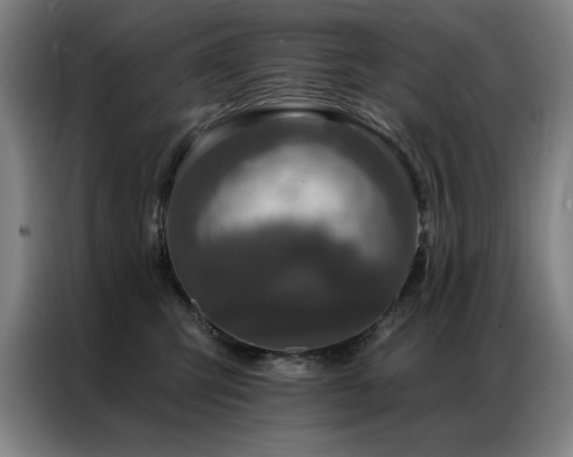 X0000087380423200704201249