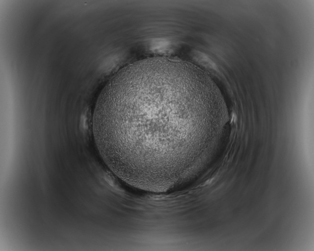 X0000087380424200704201249