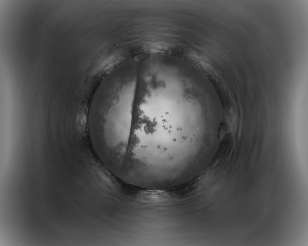 X0000087380427200704201249