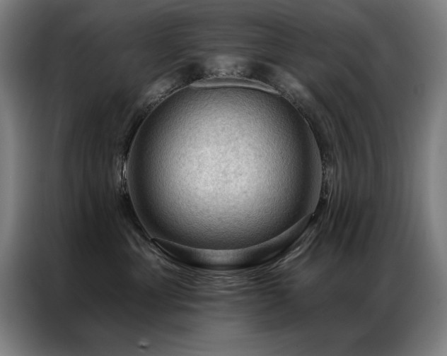 X0000087380429200704201249