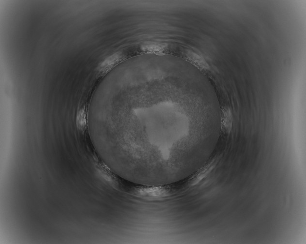 X0000087380431200704201249