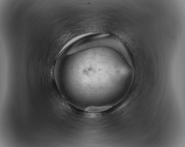 X0000087380432200704201249