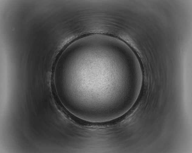 X0000087380434200704201248