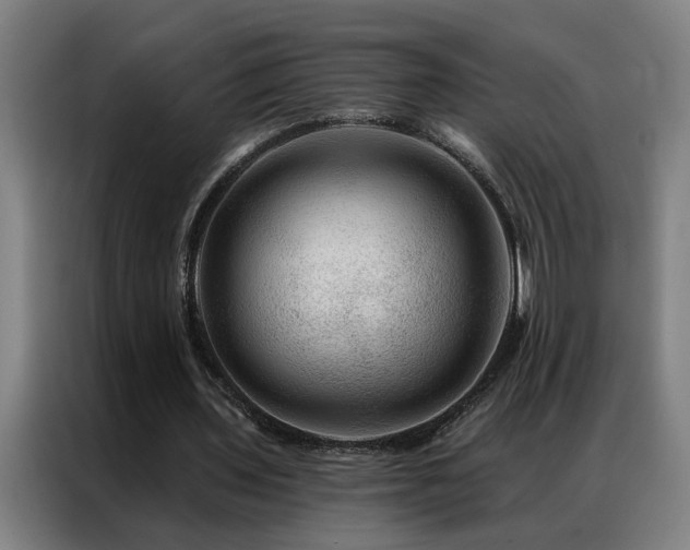 X0000087380435200704201248