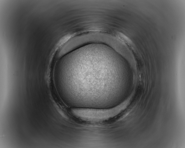 X0000087380436200704201248