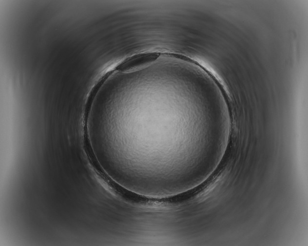 X0000087380437200704201248