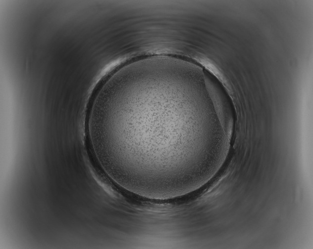 X0000087380438200704201248
