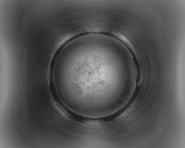X0000087380439200704201248