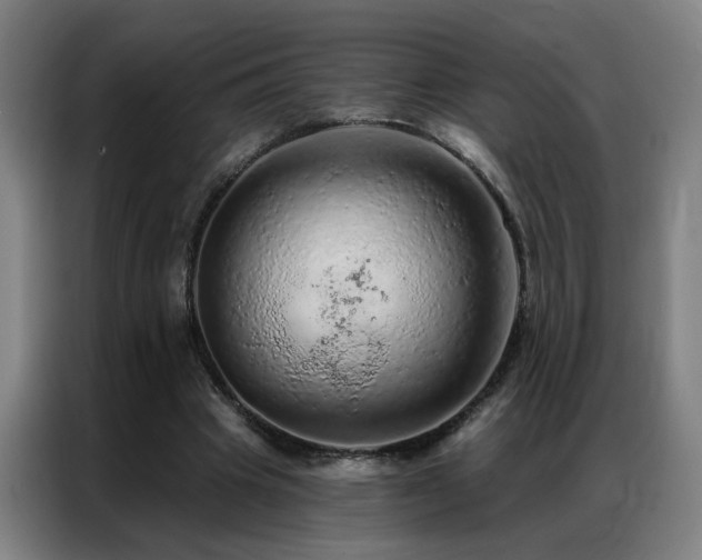 X0000087380441200704201248