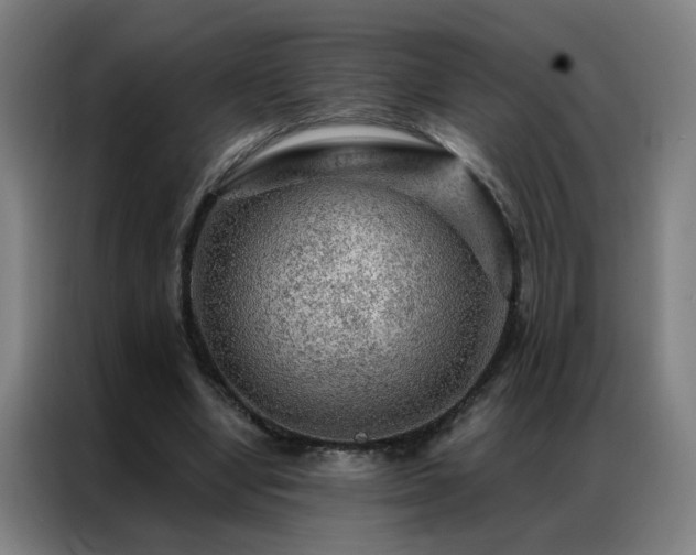 X0000087380442200704201248