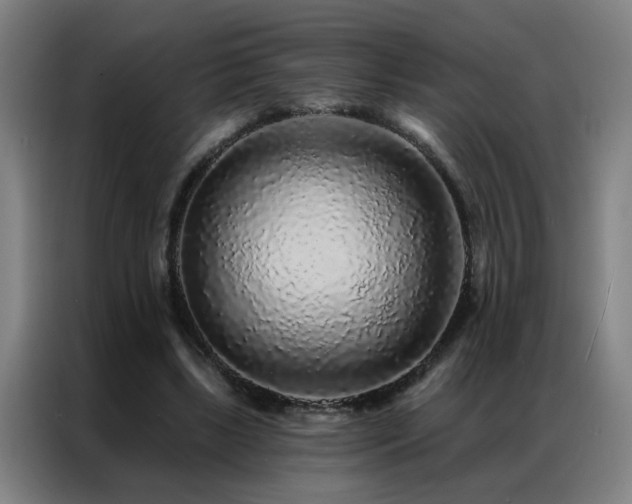 X0000087380443200704201248