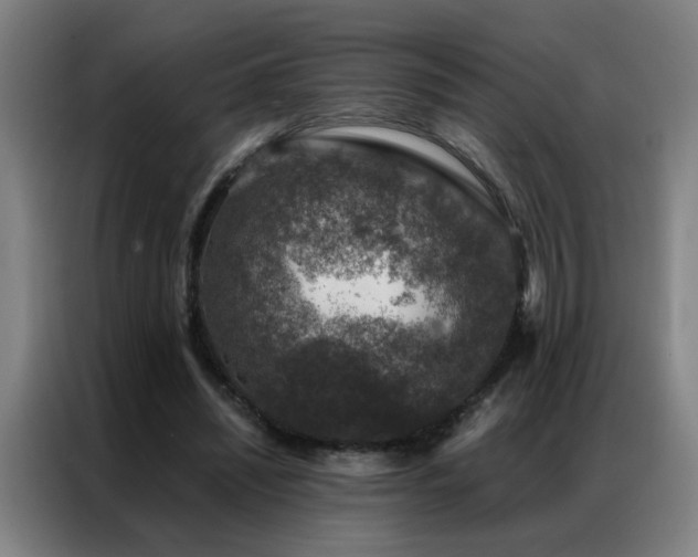 X0000087380444200704201248