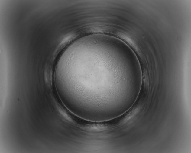 X0000087380445200704201248