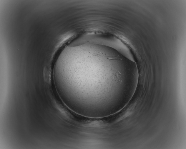 X0000087380446200704201248
