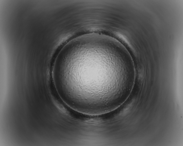 X0000087380447200704201248