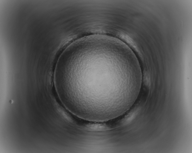 X0000087380449200704201248