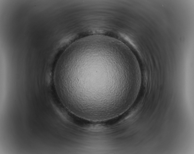 X0000087380451200704201248