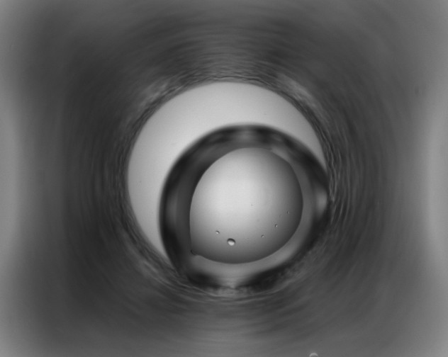X0000087380452200704201248