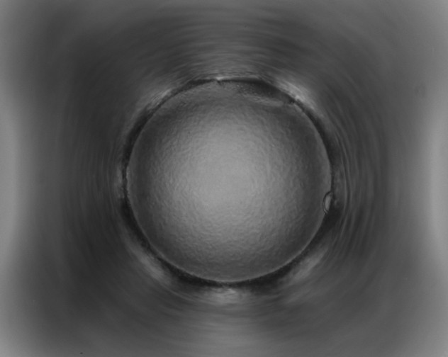 X0000087380453200704201248