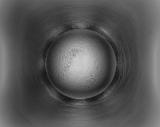 X0000087380459200704201248