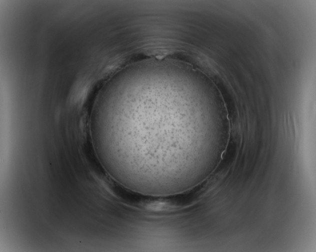 X0000087380460200704201248