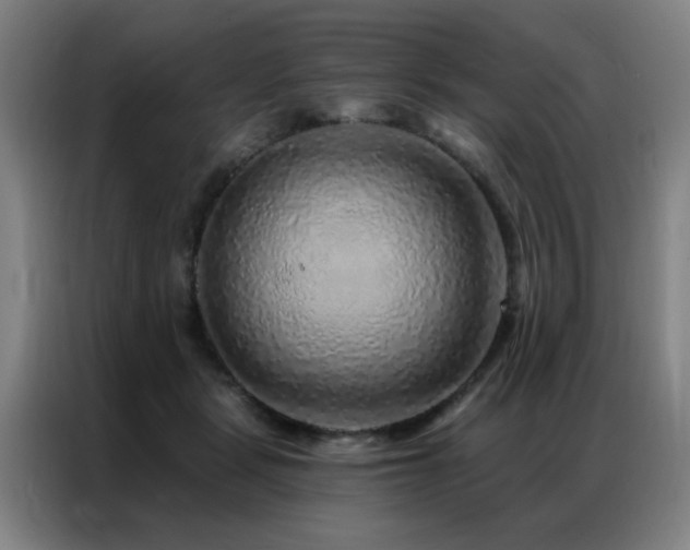 X0000087380461200704201248