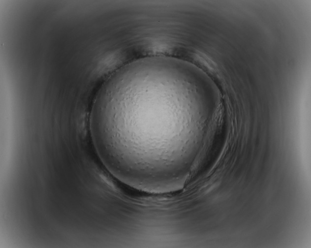 X0000087380462200704201248