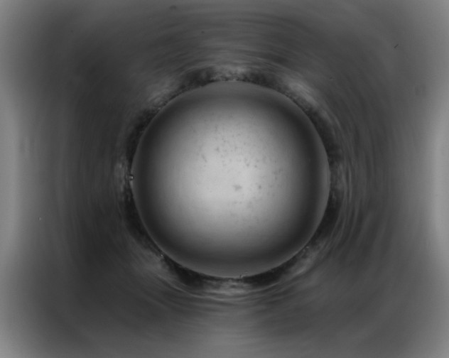 X0000087380463200704201248