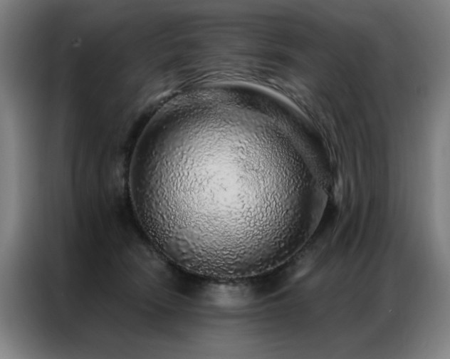 X0000087380466200704201248