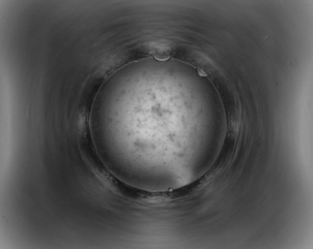 X0000087380468200704201248
