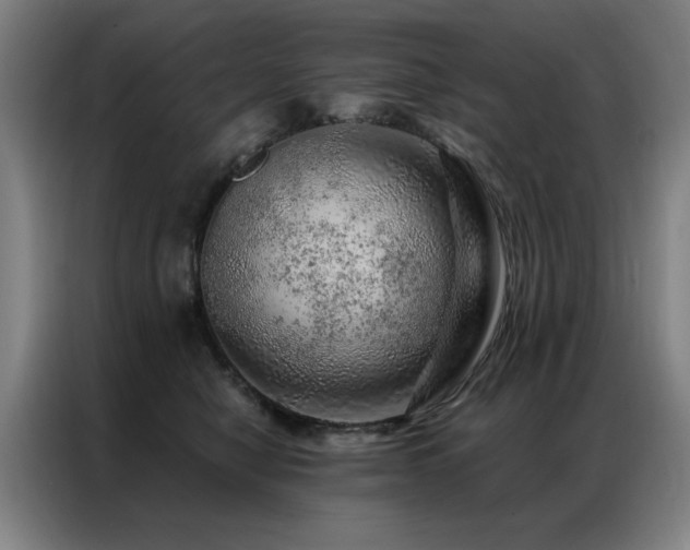 X0000087380470200704201248