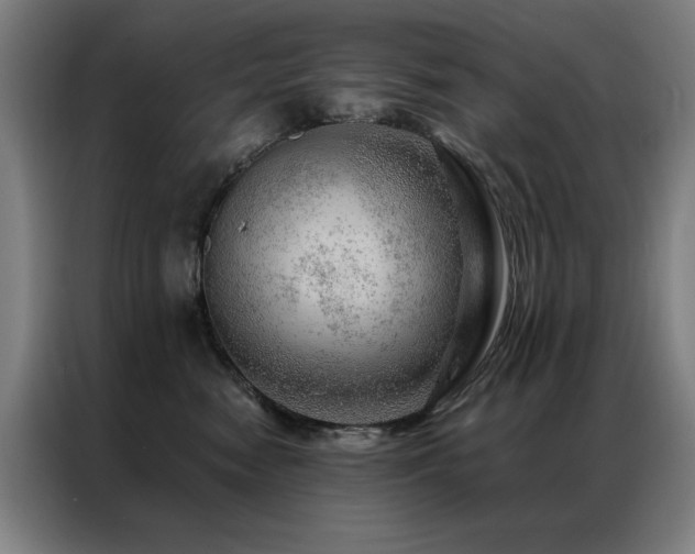 X0000087380474200704201248