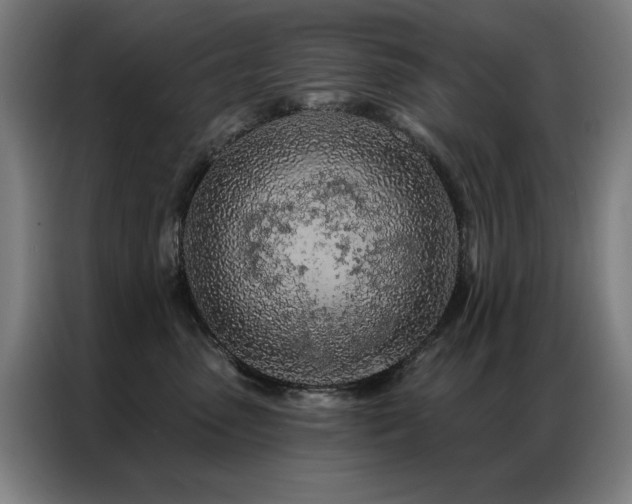 X0000087380475200704201248