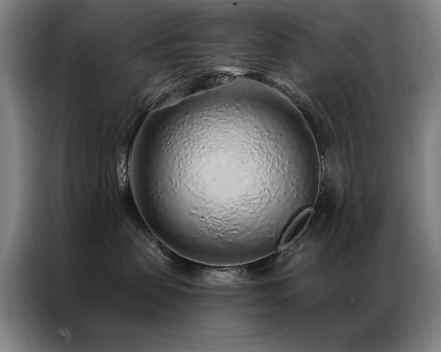 X0000087380479200704201248