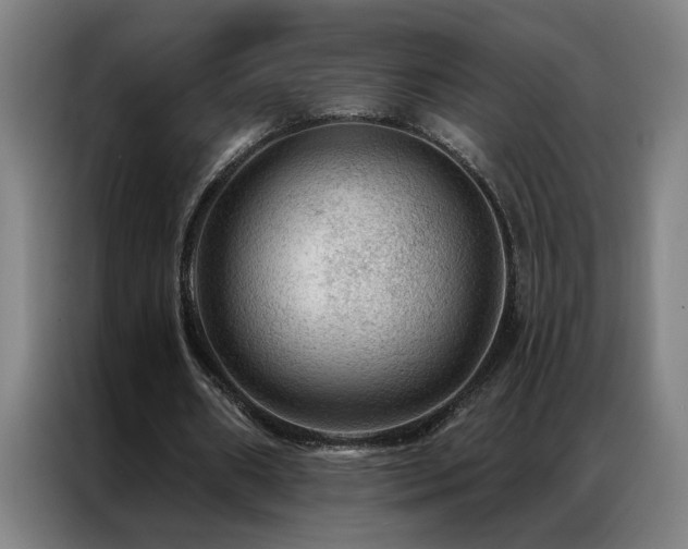 X0000087380482200704201248