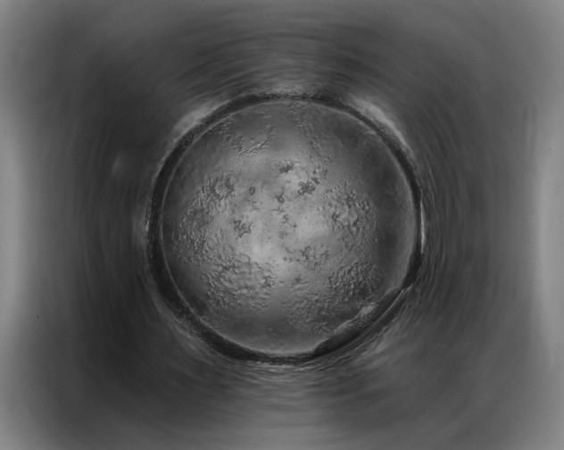 X0000087380483200704201248