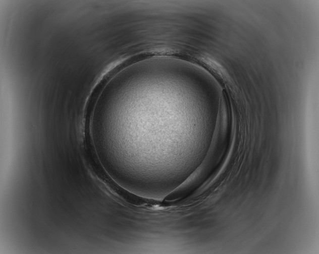 X0000087380484200704201248