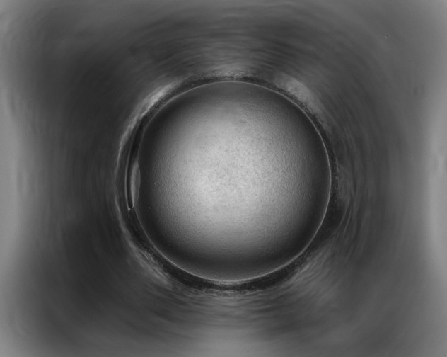 X0000087380486200704201248