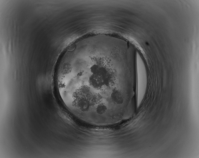 X0000087380487200704201248
